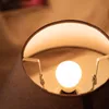 Close-up view inside a lampshade, showing a lit LED bulb. Anteprima dell’immagine prodotto