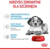 Royal Canin Medium Puppy karma mokra w sosie dla szczeniąt Podgląd zdjęcia produktu 3