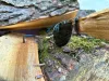 Sunglasses resting on mossy wood. Náhled obrázku produktu