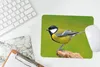 MuchoWow® Mauspad Mousepad Vogel - Kohlmeise - Tiere - Grün Produktbild-Vorschau 5