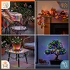 Guirlande lumineuse LED multicolore avec 8 modes Voir les images du produit 7