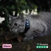GPS-Tracker pour Chiens et Chats Atto Pro Voir les images du produit 9