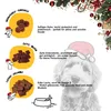 Dogs'n Tiger- Guido Maria Kretschmer Dogs - Adventní Náhled obrázku produktu 3