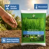 Graines de gazon « Wunder Rasen », 1 kg Voir les images du produit 4