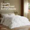 CASABEL Couette Hiver Grand Froid, Garnissage 700g/m², Voir les images du produit 2
