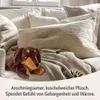 Habibi Plush Classic Wärmetier Dackel Kuscheltier Produktbild-Vorschau 5