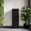 A black filing cabinet is shown in a room with a plant and a wall. Anteprima dell’immagine prodotto