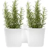 Blumenkübel TWINS CUBE, weiß, 24,4 cm Produktbild-Vorschau 3