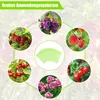 100 Stück 20x30cm Grün Obst Schutzbeutel Schutzbeutel mit Produktbild-Vorschau 5