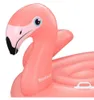 Bestway Chevauchable flamant rose Bestway 41526 1.68m x Voir les images du produit 2