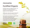 Huile végétale bio d'argan Pranarôm 50 ml Voir les images du produit 5