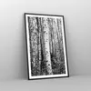 Gerahmtes Poster - Schwarzer Rahmen - Birken Wald Monochrom Produktbild-Vorschau 8