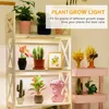 A multi-tiered shelf displaying various potted plants and decorative items, illuminated by grow lights. Náhľad obrázku produktu