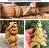 Set per intagliare il legno con blocchi di legno di tiglio Anteprima dell’immagine prodotto 6