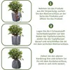 Protection thermique pour pots de plantes, double Voir les images du produit 5