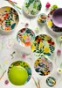 Excelsa Set de vaisselle 18 pièces Fiori Frida Porcelaine Voir les images du produit 9