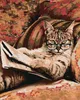 A painting of a cat wearing glasses and reading a book. Produktbild-Vorschau