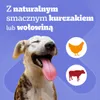 Pedigree DentaStix 112 sztuk (16x180g) Medium Średnie Rasy Podgląd zdjęcia produktu 8