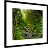 MuchoWow® Gerahmtes Poster Natur - Wasser - Dschungel - Produktbild-Vorschau 1