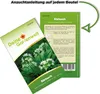 Bärlauch Waldknoblauch Samen - Allium ursinum - Produktbild-Vorschau 3