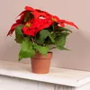Weihnachtsstern Rot im braunen Topf Ø 30 - Kunstblumen Produktbild-Vorschau 5
