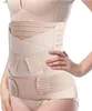 3-in-1 Bauchstütze, postpartal, Bauch-/Taillen-/Beckengurt Produktbild-Vorschau 2