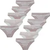 10 Damen Slips mit Spitze aus Baumwolle - 40 Modell 1 Produktbild-Vorschau 1