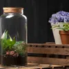 Terrarium-Glas-Pflanzgefäß Náhled obrázku produktu
