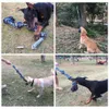 Spring Pole Dog Rope Toy, chien Tug of War Toy, corde Voir les images du produit 7
