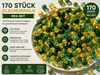 170 Stück Glasmurmeln Mix Grün Gold – Bunte Murmeln aus Produktbild-Vorschau 1