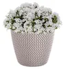 Splofy Blumentopf Pflanzkübel Pflanzgefäß Strickmuster Produktbild-Vorschau 4