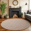 A round rug is placed on a wooden floor in front of a fireplace with a fire burning. There are plants and a sofa in the background.