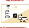A feeding chart for a cat, showing recommended food portions based on weight and indicating water availability. Produktbild-Vorschau