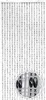 Kobolo Door Curtain Insect Screen PEARL 100x230 cm 80 Náhľad obrázku produktu 1