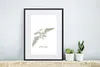 MuchoWow® Gerahmtes Poster Kinderzimmer - Pteranodon - Grün Produktbild-Vorschau 6