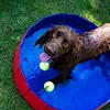 Nobby Pet Dog Pool, L, rot-blau, Ø 160 x 30 cm Produktbild-Vorschau 2