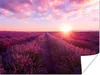 MuchoWow® Poster Lavendel - Blumen - Frankreich 120x90 cm - Produktbild-Vorschau 1