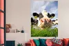 MuchoWow® Poster Kuh - Bauernhof - Gras - Tiere 120x160 cm Produktbild-Vorschau 2