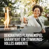 Gas Heizgerät Enders Nova Table M Stufenlos 1 kW Produktbild-Vorschau 8