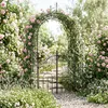 Relaxdays Rosenbogen mit Tür, Metall, Garten, H x B x T: Produktbild-Vorschau 3
