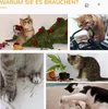 PawHut Kratzbaum 57 cm Kleiner Katzenbaum mit Katzenhöhle, Produktbild-Vorschau 8