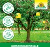 Neudorff KirschmadenFalle 7 Stück Produktbild-Vorschau 5