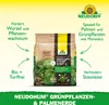 Neudorff NeudoHum Grünpflanzen- & PalmenErde 10 Liter Produktbild-Vorschau 2