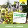 Neudorff NeudoHum PflanzErde torffrei 75L gebrauchsfertig - Produktbild-Vorschau 6
