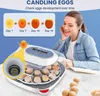 24 Eier Inkubator, 4 Modi, 360° sichtbarer Eier Inkubator Produktbild-Vorschau 8