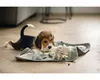 Beeztees Puppy Doeka Schnüffelmatte - Hund Spielzeug - grau Produktbild-Vorschau 7