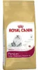 Royal Canin Persian 4 kg Voir les images du produit 7