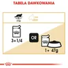 Royal Canin FBN Maine Coon Adult 24x85g Nassfutter in Soße Produktbild-Vorschau 7