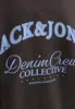 Jack & Jones Junior Pullover BRANDES Sweatshirt Voir les images du produit 2