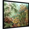 MuchoWow® Gerahmtes Poster Muscinae - Ernst Haeckel - Produktbild-Vorschau 1